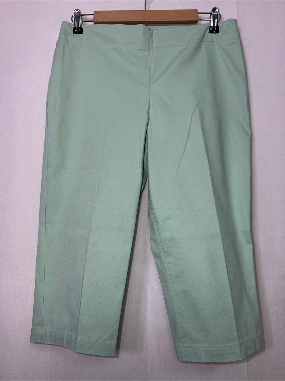 Talbots Heritage Petites Mint Green Cropped Chino Side Zip Pants
